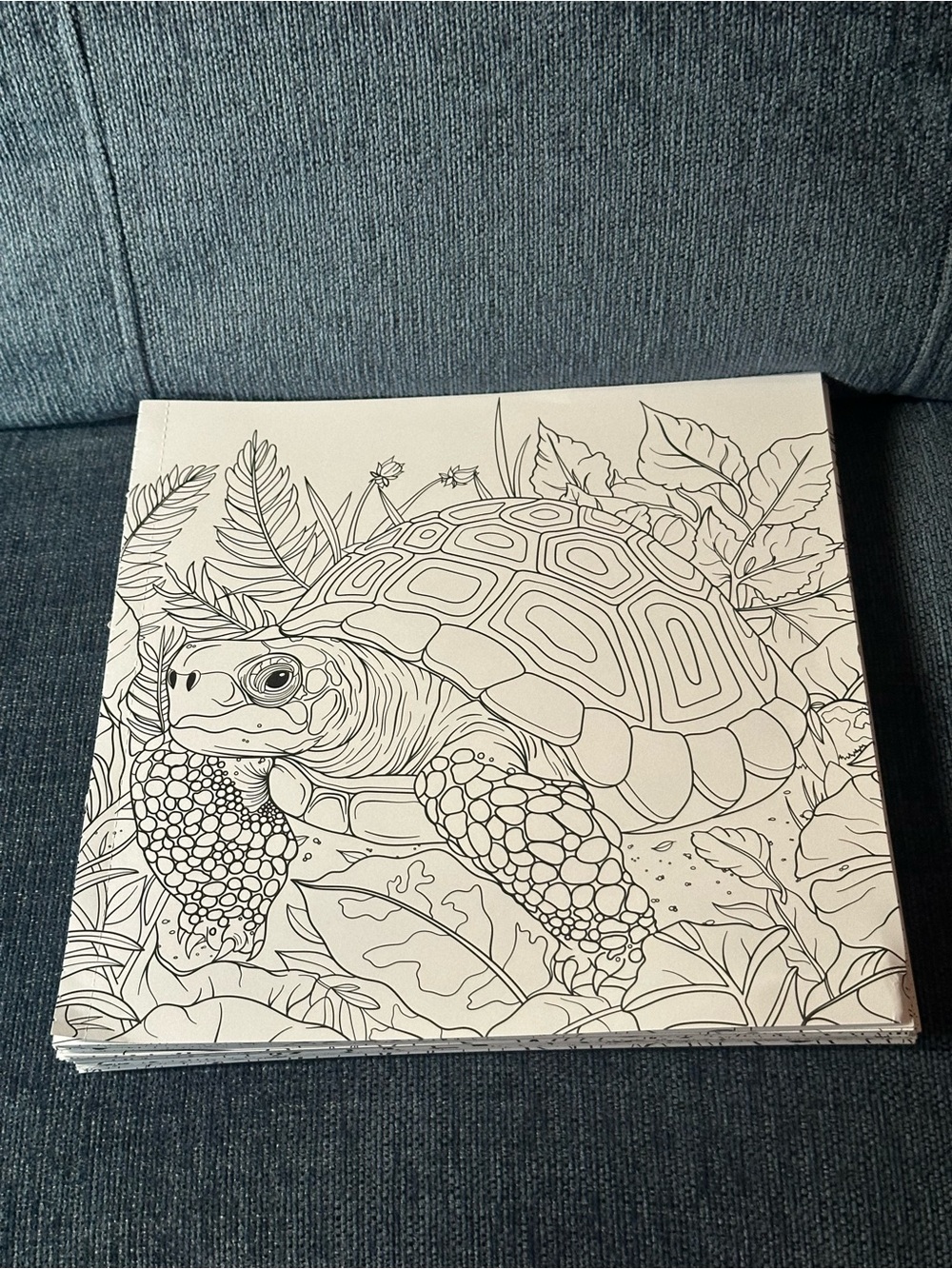Bundle of 59 Coloring Pages